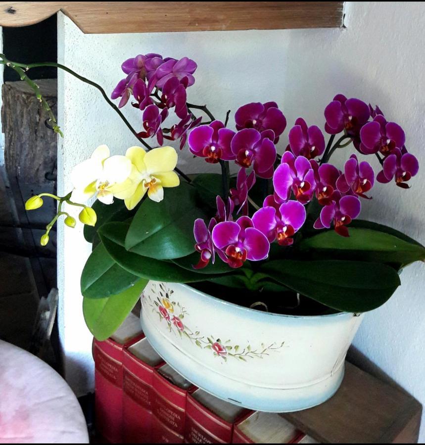 The Italian Riviera Bed & Breakfast San Salvatore  Exterior foto